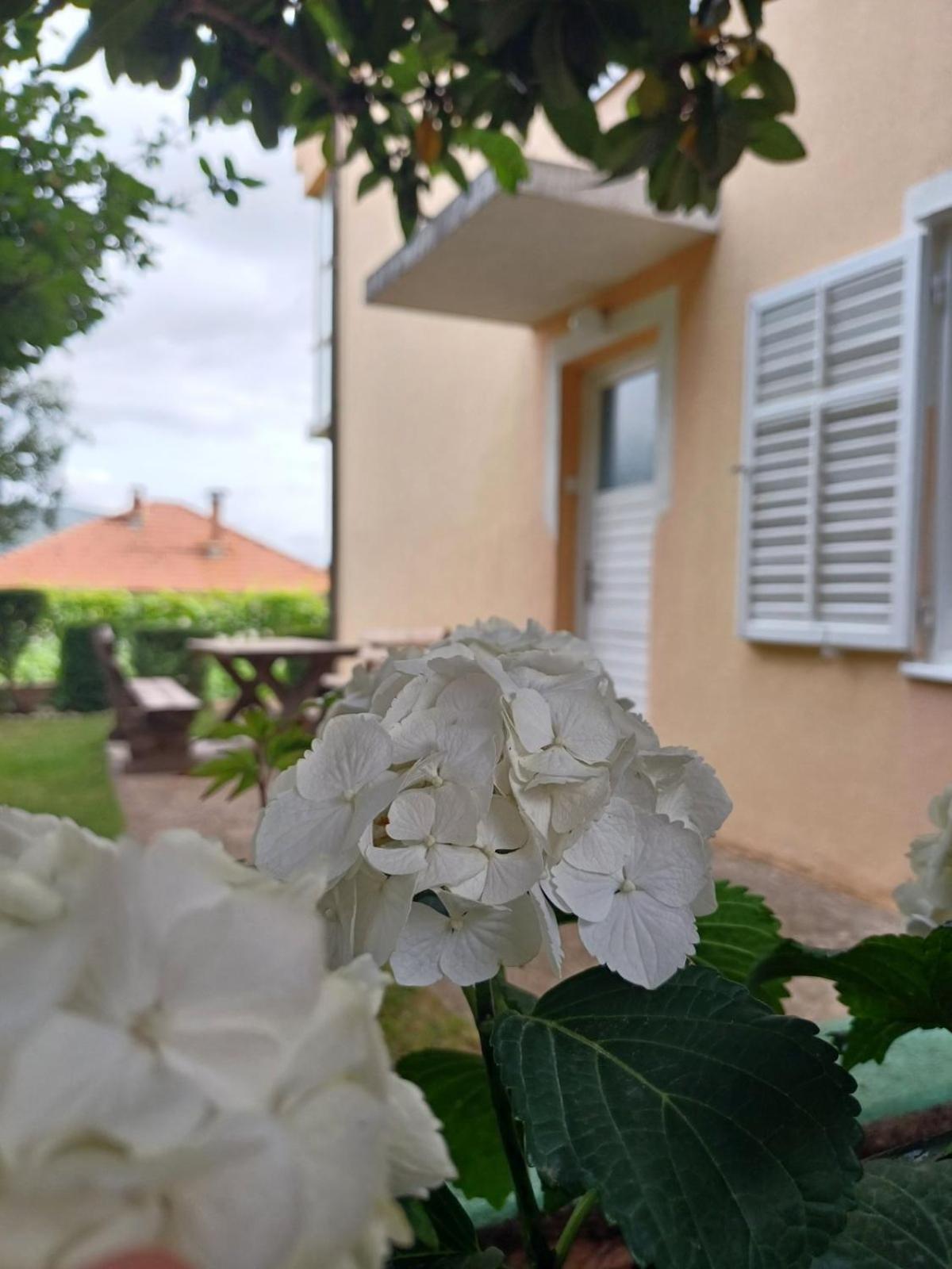 Apartments For Friends Trebinje Bagian luar foto